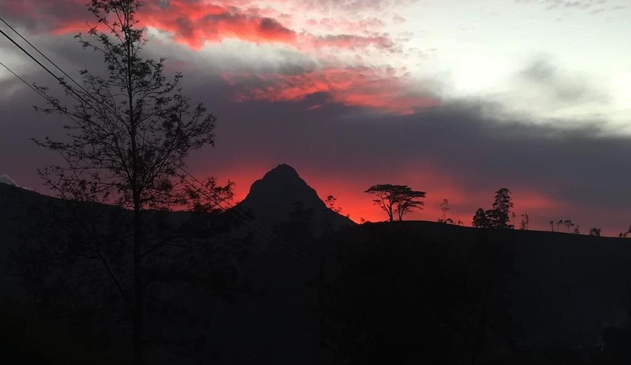 ホテル Ayos Hill Adam'S Peak Free Shuttle ナラタニヤ エクステリア 写真