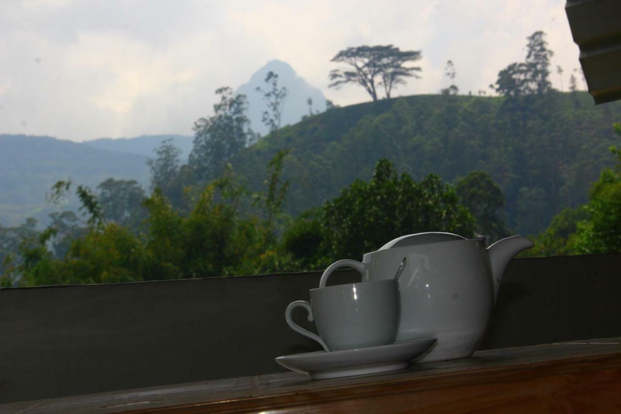ホテル Ayos Hill Adam'S Peak Free Shuttle ナラタニヤ エクステリア 写真