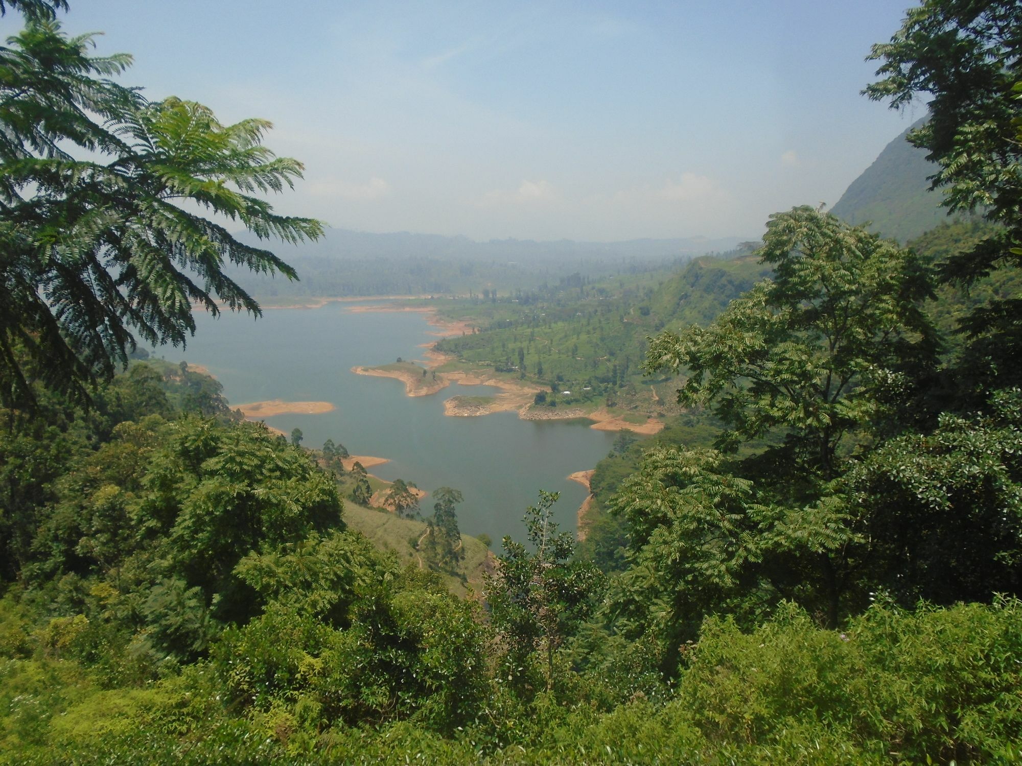 ホテル Ayos Hill Adam'S Peak Free Shuttle ナラタニヤ エクステリア 写真